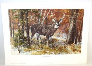 1977 Remington Wildlife Art Collection Pioneers In Conservation (4 