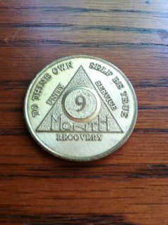 Alcoholics Anonymous AA 9 Months Brass Metal Chip Coin Token Medallion 