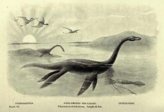 Palaeontology Fossils Dinosaurs Animals of The Past