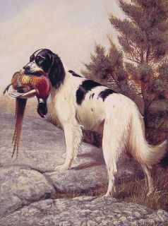 Alexander Pope Art Repro Hunting Dog with Pheasant