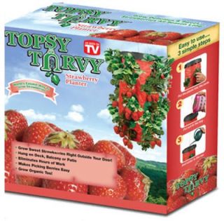Topsy Turvy Strawberry Planter TT091112 Allstar Marketing Group