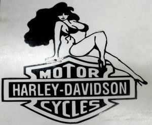 Harley Davidson Logo Vinyl Sticker Decal 6 Wide Pick Color