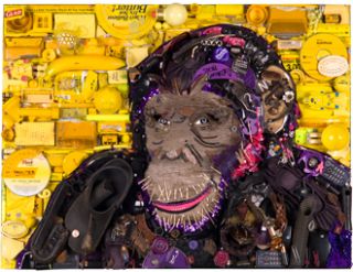 Jason Mecier Original Wild Life Chimpanzee Artwork Presented by Glad 
