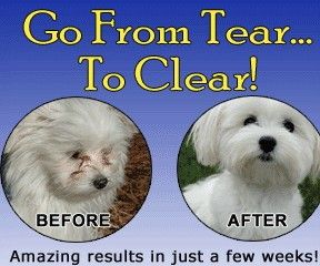 Angel eyes Natural Stain remover for Dogs & Cats 75 gm Chicken Flavor