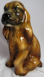 Intrada of Italy Brown Cocker Spaniel Large Dog