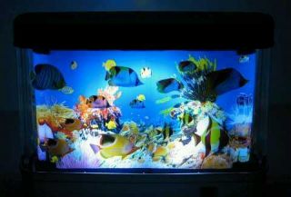 Discovery Kids Electric Fish Aquarium Animated Marine Lamp Moving 