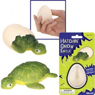 Hatchin Grow Turtle Egg Magic Growing Animal Science