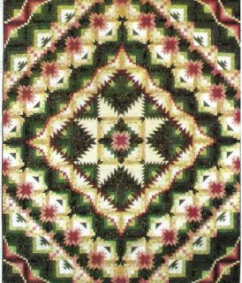 Eureka quilt Pattern by Jackies Animas Quilts