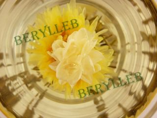 16 Artistic Jasmine Chrysanthemum Angel Blooming Teas
