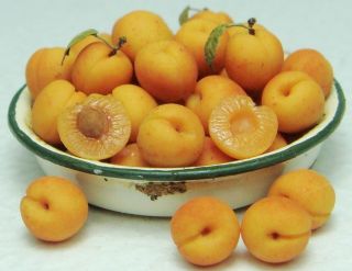 company of apricots resting in an enamel aged bowl all of the apricots 