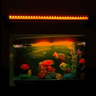Aquarium Fish Tank Home Wall Decorate LED Light Make Night Vision 