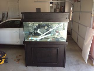 120 Gallon Drilled Glas Aquarium w Wood Stand and Canopy