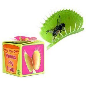 description grow your own venus fly trap the grow your