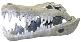 Nile Crocodile Skull Cave 355 large ~ aquarium ornament fish tank 