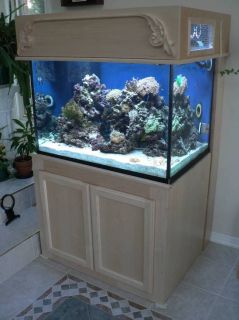 In the picture, you see the stand I built and my beautiful aquarium 