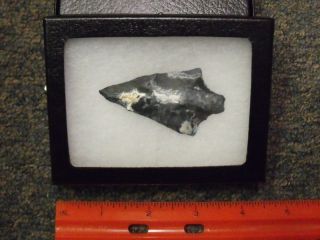 Estate Antique Fossil Rock Stone AX Arrow Knife Display Glass 
