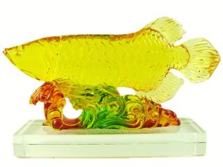 Wealth Arowana Fish Golden Fish for Feng Shui or Gifts