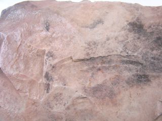 Indian Hoe Tool Artifact RARE Fossil Hatchet Polished Rock Farming 