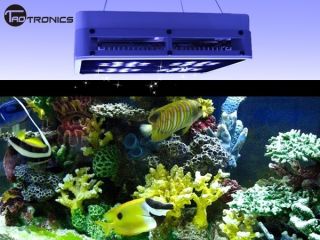 141W LED Aquarium Coral Reef Tank White Blue 1 1 LED Grow Light