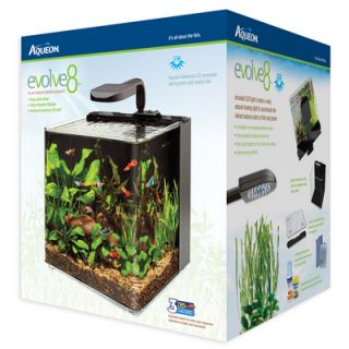 Aqueon Evolve 8 gallon LED All inclusive Desktop Aquarium Kit