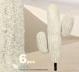 Pcs 15 5 Artificial Mexican Cactus Desert Plants 648