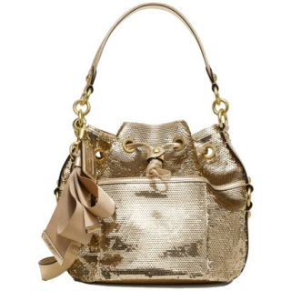 Authentic COACH Poppy Sequin Cinch Crossbody Messenger Tote NWT 17906
