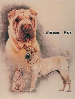 Shar Pei Dog Breed Sharpei Counted Cross Stitch Pattern