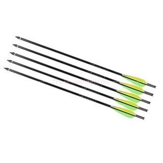 Barnett 20 Crossbow Bolts Arrows with Field Point and Moon Nock   5 