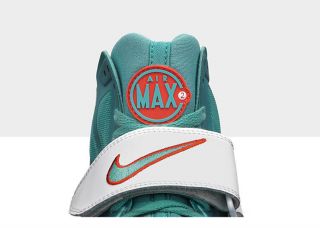 Nike Air Max Express Mens Shoe 525224_101_C