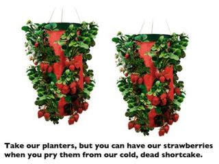 topsy turvy upside down strawberry planters empty
