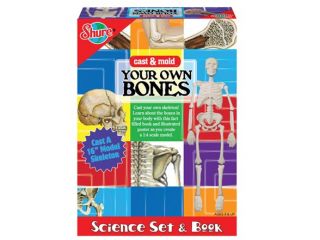 TS Shure Cast and Mold Your Own Bones Science Set & Book   6053
