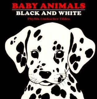Baby Animals Black and White by Phyllis L. Tildes 1998, Board Book 