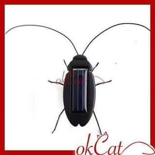 solar power energy black cockroach bug toy children from hong