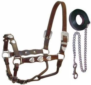 quality horse leather show halter silver hearts cob blk time