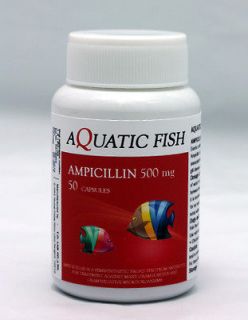AQUATIC FISH AMPICILLIN 500 mg 50 Capsules   AQUARIUM FISH 