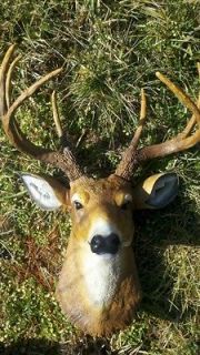 Newly listed BUCK DEER HEAD 8 POINT LARGE WHITETAIL MOUNT FAUX