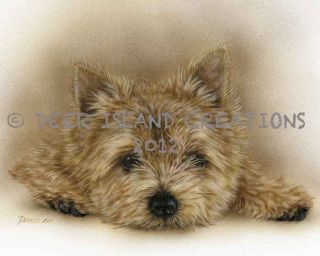 Norwich Terrier Dog Art Note Cards Artist Darcie Olson Darci