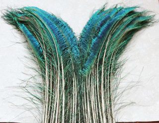 50PCS natural peacock sword feathers about 12 14inch(25 left,25 right)