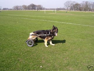 wheels for dogs dog wheelchair made in the uk from