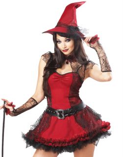   Mischievous Witch Adult Plus Size Halloween Costume Outfit XL