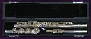 ALTUS Flute   907 RBE   Brand NEW    Worldwide 