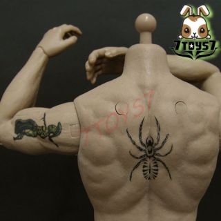 ACI Toys 1/6 Muscular Body Andrew Ver.4_ Left Arm Tattoo Body + 6 