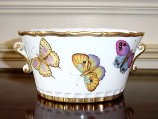Anna Weatherley Butterfly Oval Cachepot with Handles New with Tags 