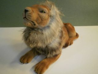 Lion Bobblehead RARE Animal New Perfect for Car or Desk More Available 