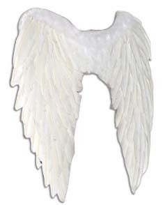 Real Feather White Angel Wings Fallen Angel Fairy Fancy Dress Outfit 