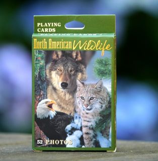    of Impact Photographic North American Wildlife Animal Playing Cards
