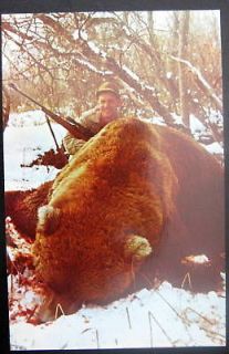 kodiak ak largest kodiak bear ever killed alf madsen time