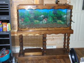 55 Gallon Aquarium with Wooden stand and all accessories included