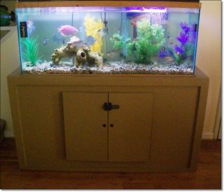 Aquarium Custom Made Stand Accessories See Pictures and Video