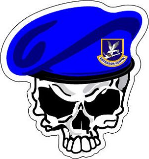 sticker usaf air force security forces skull more options select